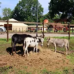 Oliver, * Wendorf (Kuhlen-Wendorf)