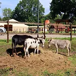 Oliver, * Wendorf (Kuhlen-Wendorf)