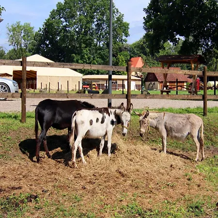 Oliver, * Wendorf (Kuhlen-Wendorf)