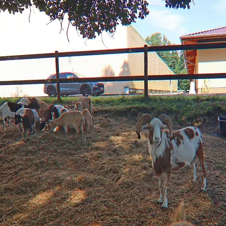 Oliver, * Wendorf (Kuhlen-Wendorf)