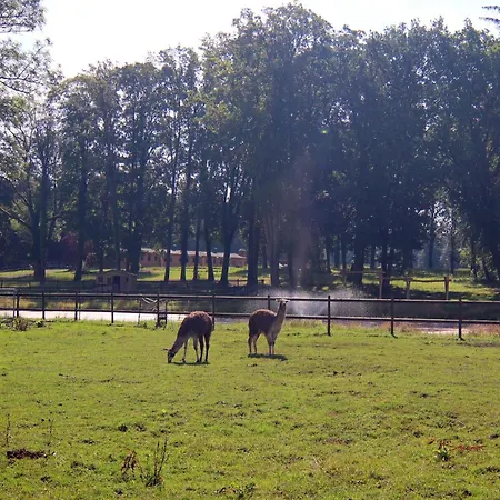 Oliver, Wendorf (Kuhlen-Wendorf)