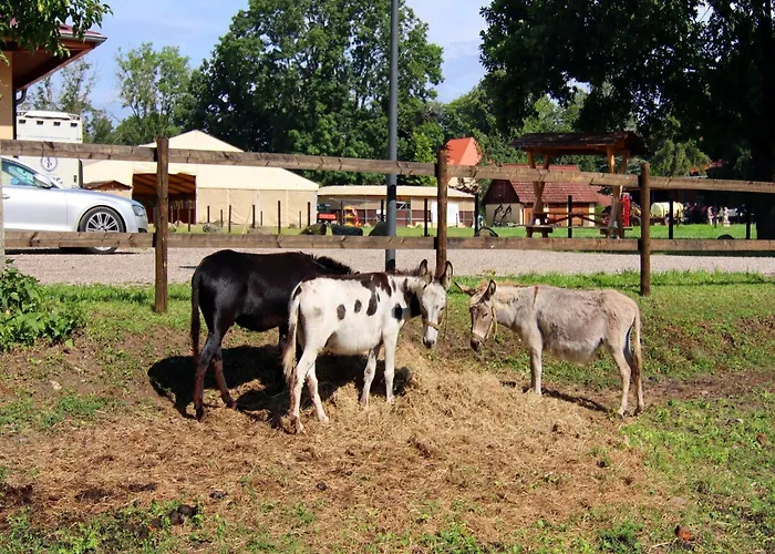Oliver, Wendorf (Kuhlen-Wendorf)